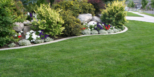 untitled design (43)