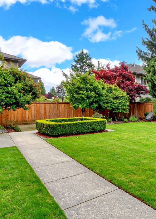 untitled design (47)